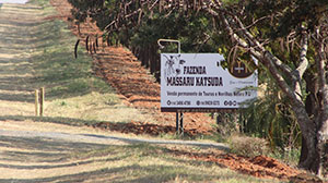 entrada 01.jpg
