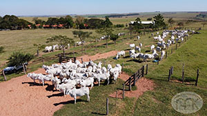 fazenda 001.jpg