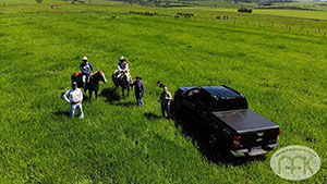 fazenda 002.jpg