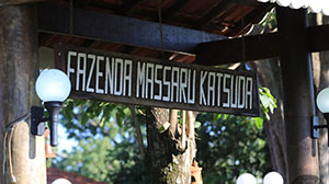 placa de madeira mk.jpg