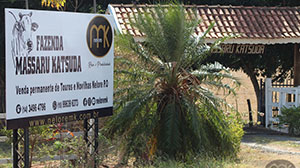 placa entrada.jpg